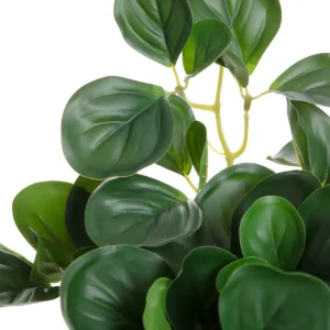 Roslina Sztuczna Tropical Zone Pepperomia 43 Cm