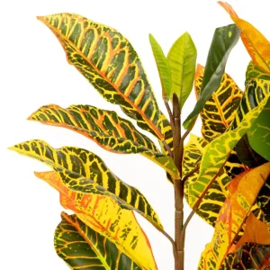 Roslina Sztuczna Tropical Zone Chameleon 120 Cm