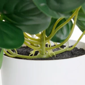 Roslina Sztuczna Tropical Zone Pepperomia 43 Cm