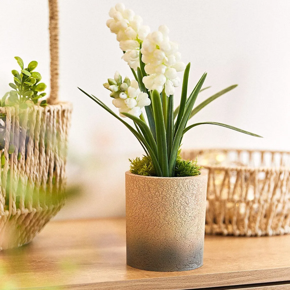 roslina_w_donicy_convalli_0.webp Roslina W Donicy Convallis Konwalie 15X15X30 Cm