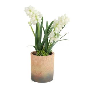 Roslina W Donicy Convallis Konwalie 15X15X30 Cm