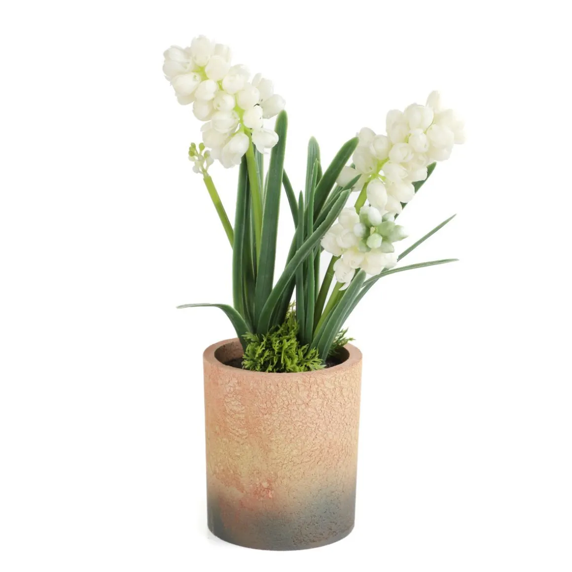 roslina_w_donicy_convalli_2.webp Roslina W Donicy Convallis Konwalie 15X15X30 Cm