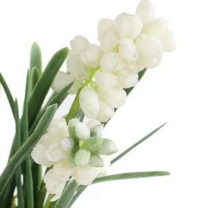 Roslina W Donicy Convallis Konwalie 15X15X30 Cm