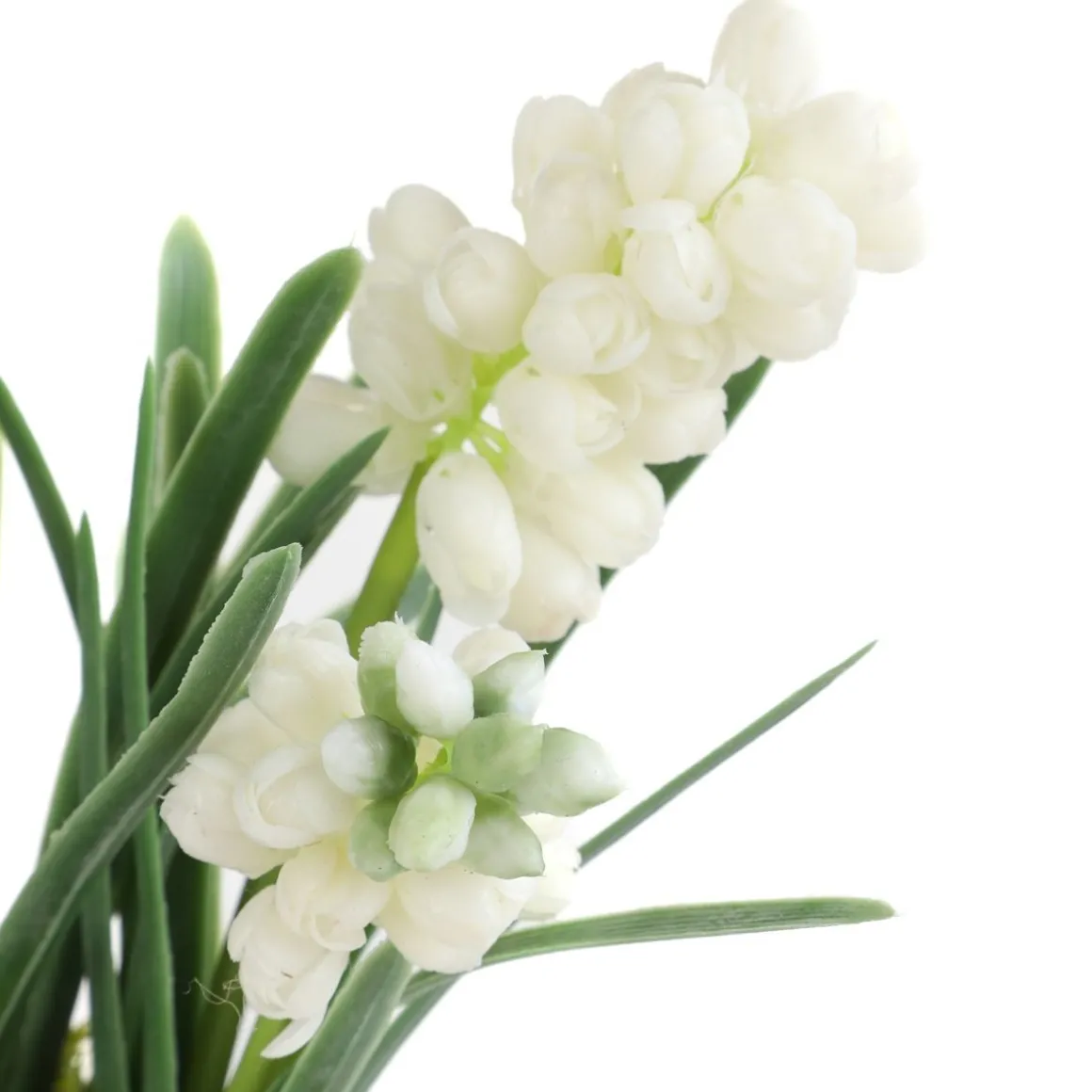 roslina_w_donicy_convalli_3.webp Roslina W Donicy Convallis Konwalie 15X15X30 Cm