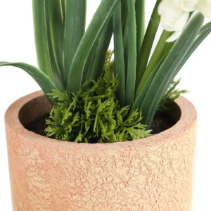 Roslina W Donicy Convallis Konwalie 15X15X30 Cm