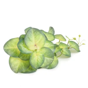 Roslina Zwisajaca Sztuczna Tropical Zone Koleus 40 Cm