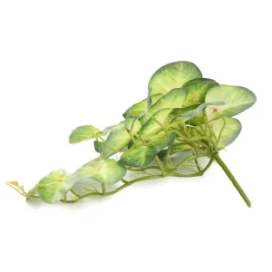 Roslina Zwisajaca Sztuczna Tropical Zone Koleus 40 Cm