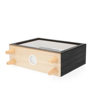 Skarbonka Moneybox Next Adventure Czarna 21X7X19 Cm