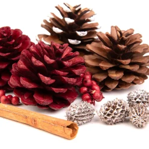 Susz Dekoracyjny Roque Pine & Cinnamon 18X12X7 Cm