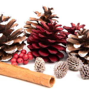 Susz Dekoracyjny Roque Pine & Cinnamon 12X16 Cm