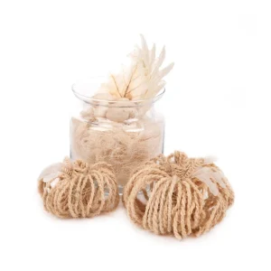 Susz Dekoracyjny Roque Z Dyniami Z Wlokna Kokosowego 20X22 Cm