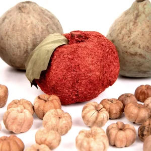 Susz Dekoracyjny Roque Zapachowy Dynie I Putka Pod 12X20 Cm