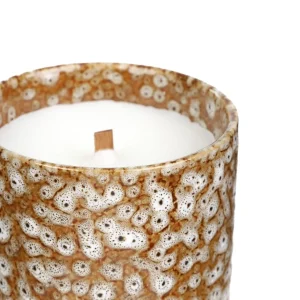 Swieca Zapachowa Gatto Vanilla & Amber 130 G