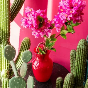 Wazon Ambros Szklany Fuksjowy 13X12X20 Cm