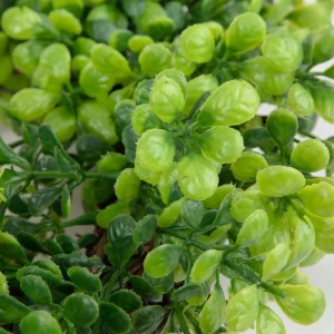 Wieniec Farve Z Bukszpanu 35 Cm