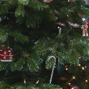 Zawieszka Evi Red Domek 8 Cm