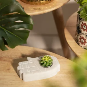 Zestaw Swiec Jade 6 Szt. Sukulenty 166 G