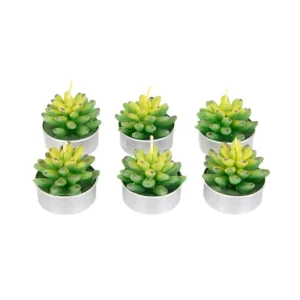 Zestaw Swiec Jade 6 Szt. Sukulenty 166 G