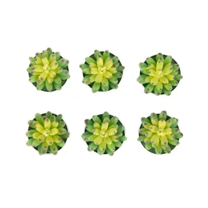 Zestaw Swiec Jade 6 Szt. Sukulenty 166 G